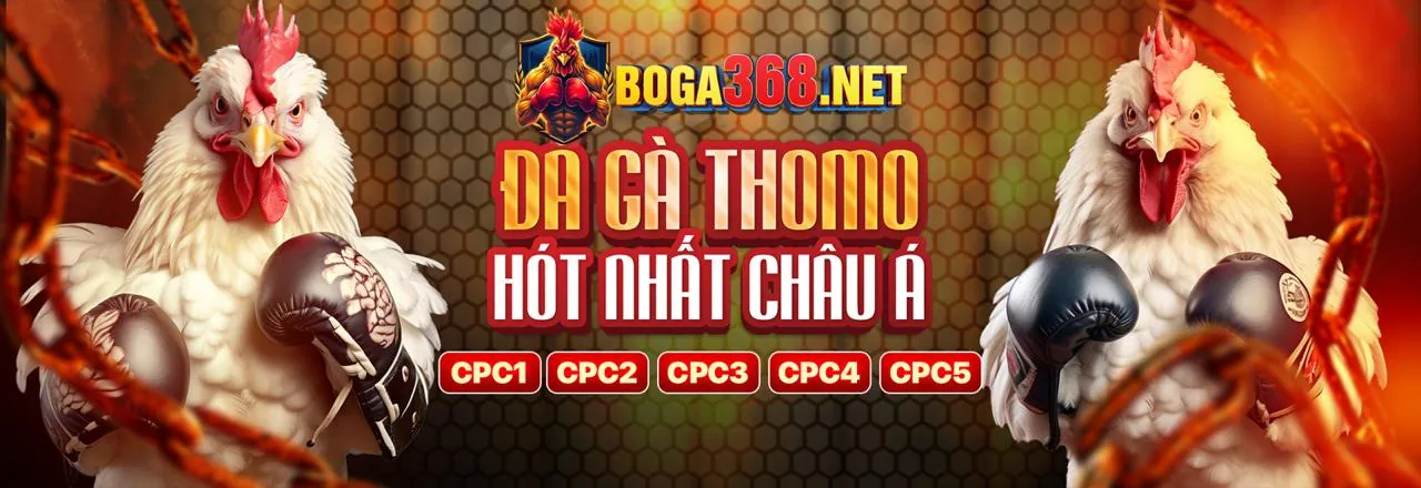 Sân đấu đá gà trực tuyến sôi động tại hêllo88